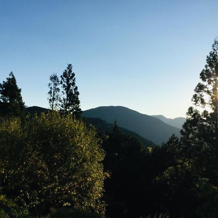 Kanata Mountain Lodge Kawanehon Ngoại thất bức ảnh